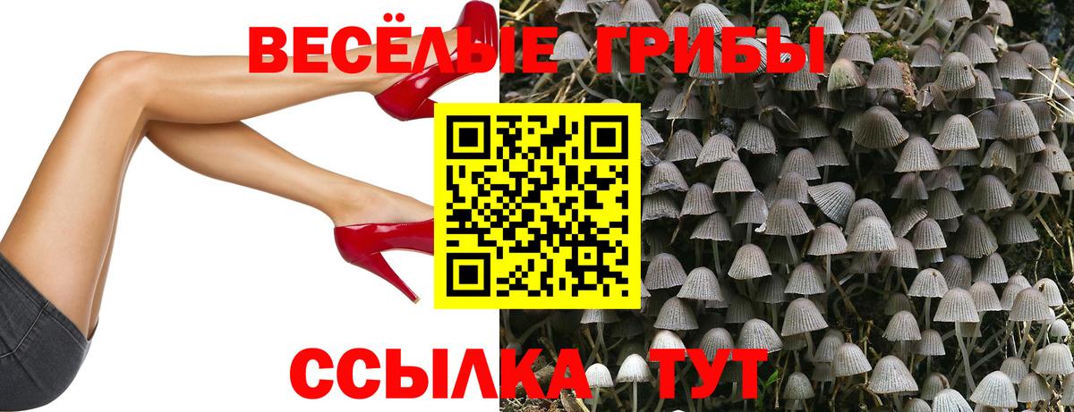 Псилоцибиновые грибы Magic Shrooms  Вход с VPN  Рославль 